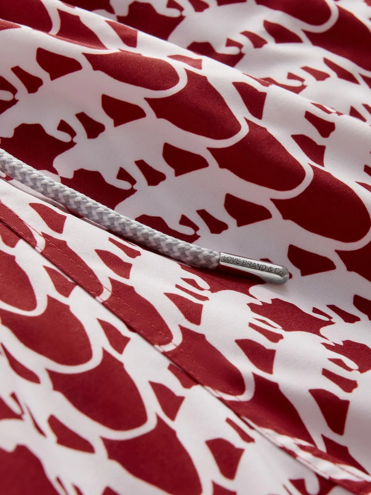 Boys Lurking Leopards Staniel Swim Shorts